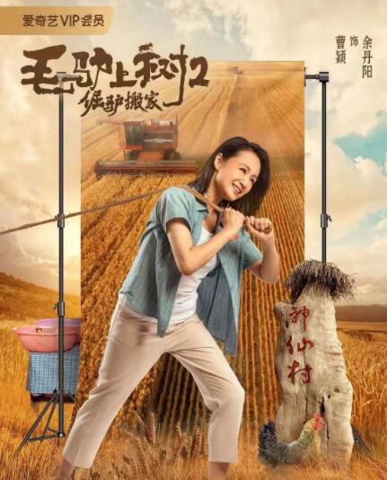 午夜精品视频任你躁